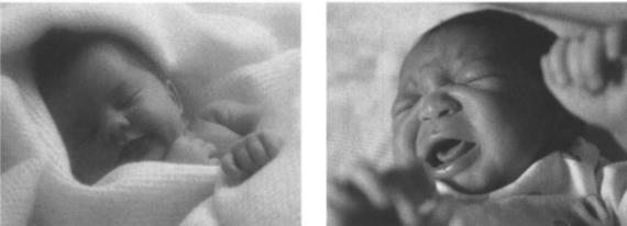1. 정서경험의발달 유아의정서연구가어려운이유 성인의정서를측정하기위해사용하는방법들을신생아나유아에게적용하기어렵다