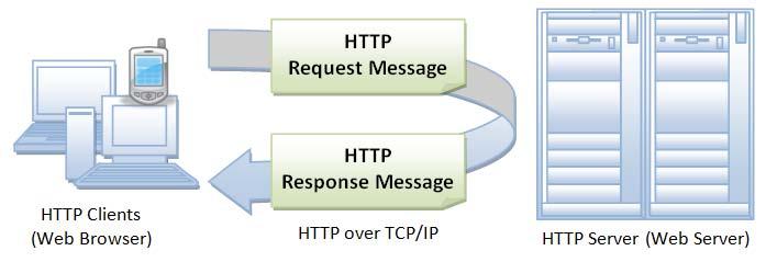 DNS Web(HTTP) Client HTTP Request Message