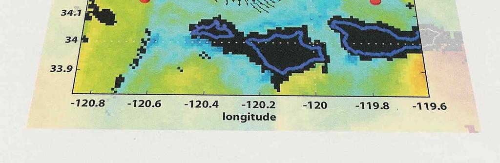 circulation and abundance of pelagic juvenile