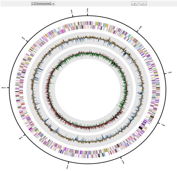 이미지형태의데이터출력 Map 메뉴를이용하여 genome 데이터를시각화하여이미지형태로출력및 저장하는기능을제공합니다. [Map > Browse genome map]: Genome map 을 circular 형태의이미지로보여줍니다.