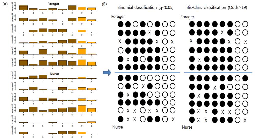 Figure 3.11 Contrasting methylation-calling results of the GB 13135 locus in Herb et al. [42] data by the two methods.