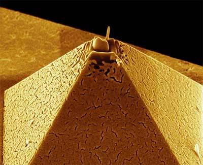 Tip of an atomic force microscope.
