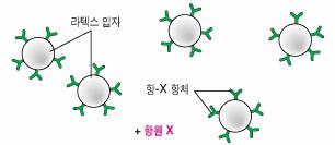 2) 적응면역 - 특정의항원에대한특정항체간의항원-항체반응 - 항원 (antigen) : -> 특이항체생산자극,