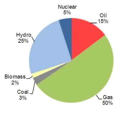 WORLD ENERGY MARKET Insight Weekly 주간포커스 25%, 석유 15%, 원자력 5%, 석탄 3%, 바이오매스 2% 등임 (Enerdata(2013)). - 원자력발전은 1974년부터시작되었고, 2012년에발전량은 6.2TWh를기록했음. 수력발전량은 37TWh( 전년대비 7.0% 감소 ) 이었음.