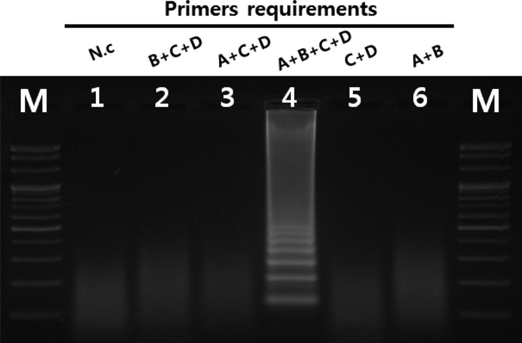 Lane M, 100 bp DNA ladder; lanes 1-9 (SMV strain G1, G2, G3, G5, G5H, G6, G6H, G7 and G7H, respectively); lane 10, negative control.. SMV, 9.