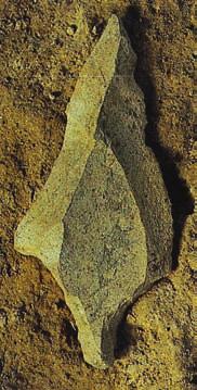가운데 단일 면적으로 가장 큰 발굴유적(1,250m2)으로 진행되 어 많은 유물이 발굴되었다. 돌감은 90% 이상이 셰일 모난돌이 이용되었는데, 이 돌(석재)들은 수양개 유적에서 약 1.
