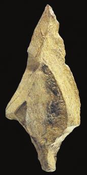 50군데의 석기제작소(사진 4)를 중심으로 석 기를 만들었음이 발굴 결과로 밝혀졌다.