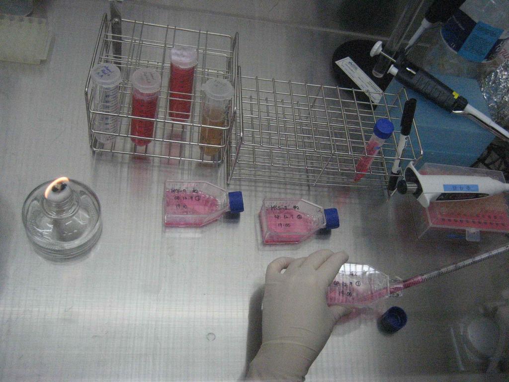 한다. 그리고 cell culture flask를 사용할 경우 5 ml의 DMEM