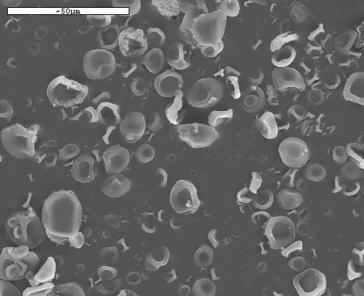 전기방사에의한셀룰로오스아세테이트극세섬유웹의제조 257 Figure 3. SEM photographs of Cellulose nanofibers electrospun at various concentrations; 7.5 wt%, 10 wt%, 12.