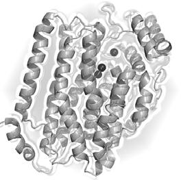 Figure 5. MMOH α-소단위체에위치한 cavity에서제논가스 ( 검은볼 ) 들이관찰됨 (PDB: 1FZI). 모노옥시게나제의생물공학적이용에있어서매우중요한정보를제공할것이다.