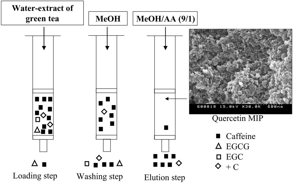 168 ½ Á y Fig. 2. Scheme of the solid-phase extraction of caffeine and some catechin compounds processing in quercetin MISPE. Fig. 4. HPLC analysis of water-extract by quercetin MIP. Fig. 3.