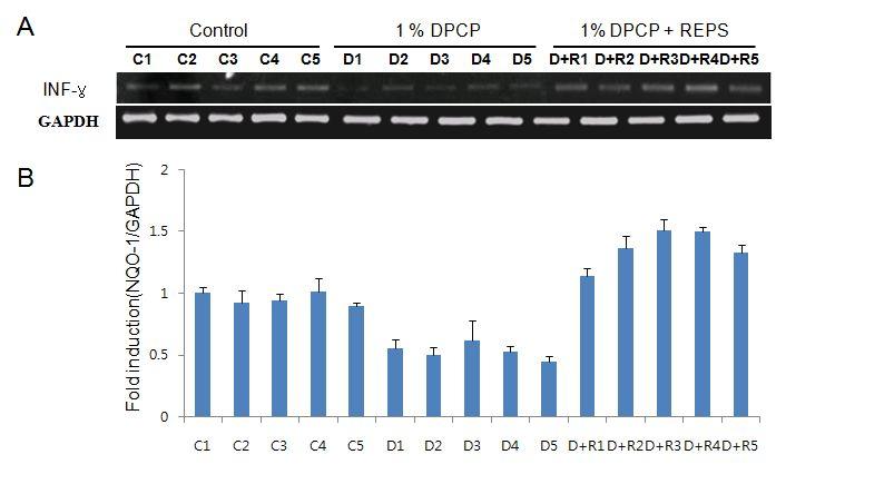 real-time PCR 분석법 그림 4.