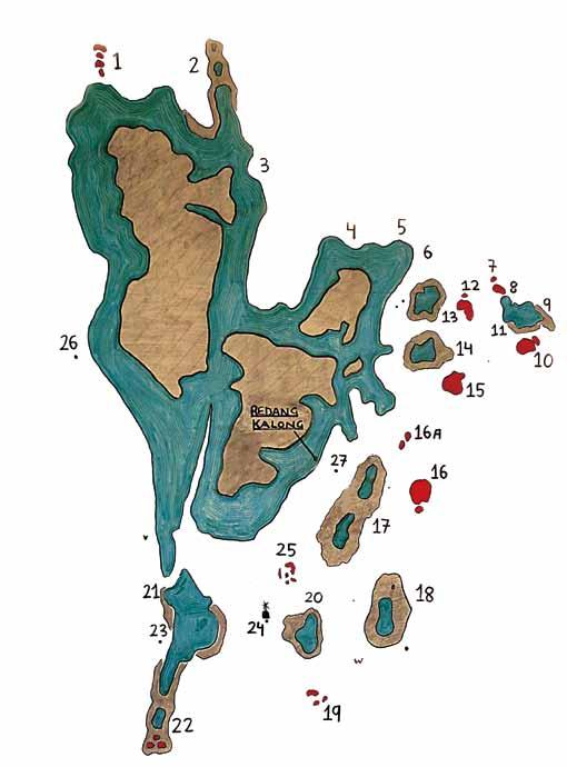 르당섬의주요다이빙사이트소개 Dive site No 2, Tanjung Tokong also known as Turtle Bay - Depth 5~28m 풍부한암반지역으로연산호와부채산호의정원이며, 거대한테이블산호가산재해있다. 또한, 바다거북, 리프물고기, 바라쿠다무리등을볼수있다. 르당섬의바다거북보존지역으로바다거북이알을낳는지역이다.