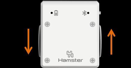 *; Hamster hamster; void setup() { hamster = Hamster.