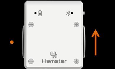 *; Hamster hamster; void