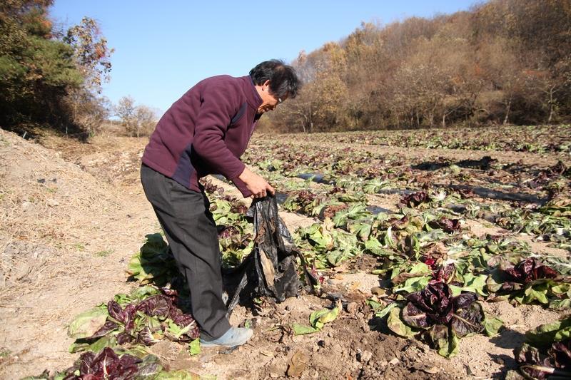 충북제천 : 이해극 ( 한국유기농업협회이사