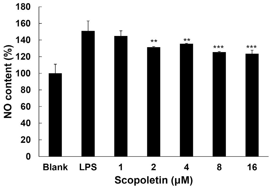 Scopoletin 의 NO 생성억제효과 LPS에의해 Raw264.7 세포로부터생성되는 NO에대한 scopoletin의억제효과를세포배양액으로부터 Griess assay 방법에의해측정하였다. Fig.