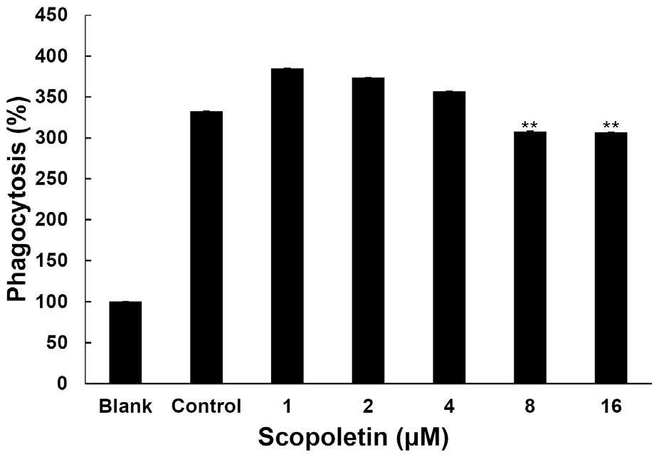 The cells cultured in phenol red and serum-free media were pretreated with different concentrations of of scopoletin for 1 hr and stimulated with a 1 μg/ ml of LPS for 48 hr.