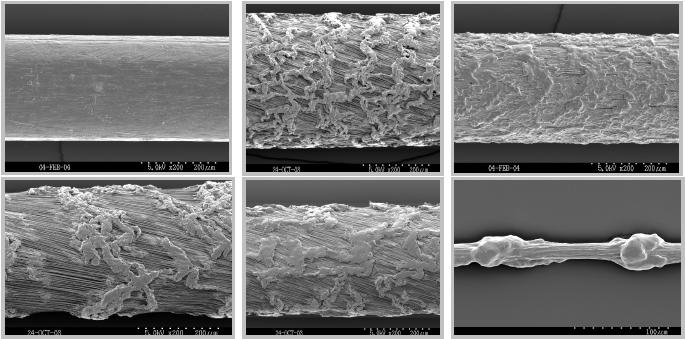 개발예시 (2-1) Innovation eptfe Fiber Technology Surface Texture Before Stabilization After Stabilization Tailored surface
