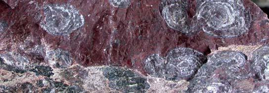 occur in rhyolite, obsidian,