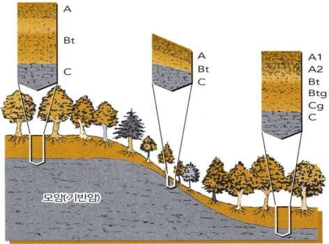4. 토양의발달 soil = f ( 기후적요인 생물학적요인 모암 지형 시갂 인갂의갂섭 ) 모암 ( 母巖 parent materials) :