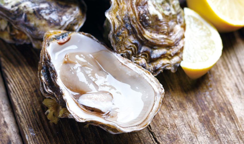 HEALTH oysters effects 나폴레옹은이것을전쟁터에서도끼니마다잊지않고찾았고, 비스마르크는하루에 175 개나먹었다고합니다. 바로굴입니다. 9월부터 12 월이제철인굴에는단백질, 지방, 탄수화물등의필수영양소를비롯해비타민, 무기질, 필수아미노산이풍부하게들어있습니다.