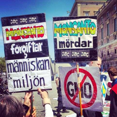 2013 년몬샌토반대행진 (March Against Monsanto)