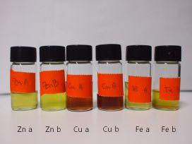 금속이치환된다는사실 (İnanç,2011) 과변화된구조가항산화효과에영향을미친다는사실 (Lanfer-Marquezetal.,2005) 은잘알려져있다. 이번연구에서는선행연구에서시도되지않았던철이온 (Fe 2+ ) 이치환된 Chlorophyl 유도체 (Fe-Pheophorbide) 를합성하고자실험을진행하였다.