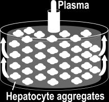 Plasma / 400 Phase II/III (complete) HepaMate (current ver.