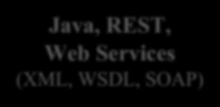 potential à Basis of WoT Java, REST, Web