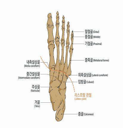 7) 한발가락에장해가생기고다른발가락에장해가발생한경우, 지급률은각각적용하여합산한다.