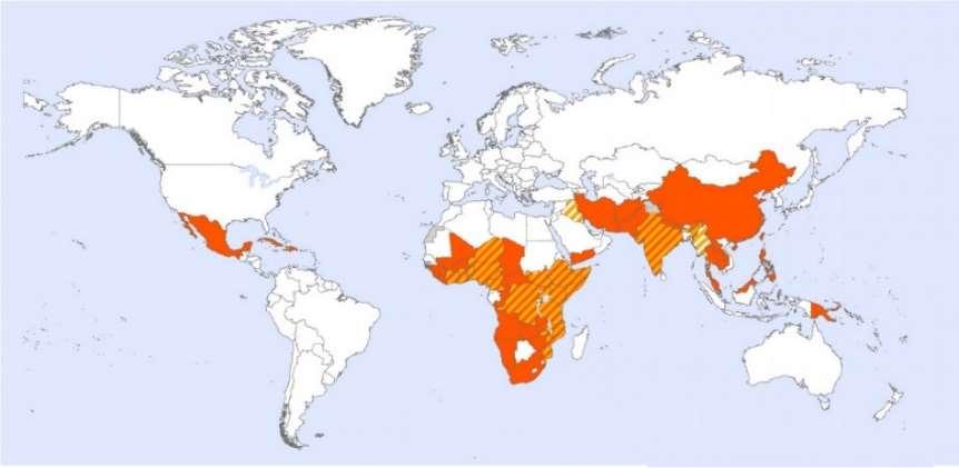 PAHO 와같은국제기구등은개발도상국을위한예방접종프로그램운영 공공시장은초기단계로서, 2013 년 200 만도스에서 2020 년최대 5,200 만도스로확대예상
