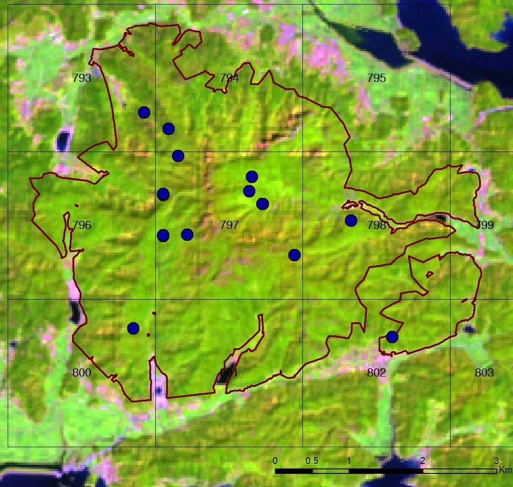 4. 산립엽면적지수 그림 4-5. Landsat ETM+ 영상에 LAI 조사지점을중첩한결과 산림지역에서엽면적지수를측정한지점의위치는 GPS 수신기를이용하여측정하 였다. 측정한지점의산림엽면적지수의값은평균 4.13 이고최소 2.16 에서최대 5.