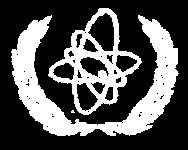 Hierarchy IAEA 안전기준과국내법령의비교 안전원리 원자력법