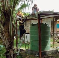 통가에서후기성도회원들이태풍팜의 희생자들을돕기위해카바사와빵나무 열매를모아바누아투에보냈다.