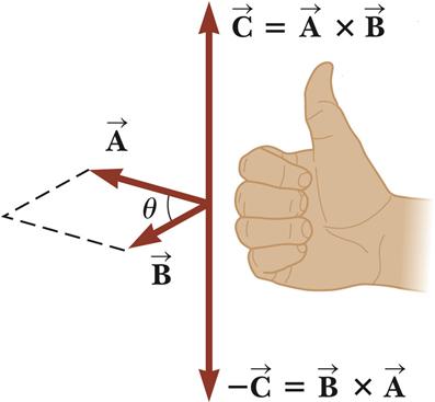 C 의방향은두벡터가만드는평면에수직이며, 오른손법칙에의해결정된다.