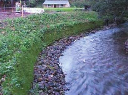 Vegetated Reinforced Soil Slopes Stream Bank Protection Infrastructure Solutions 델타락