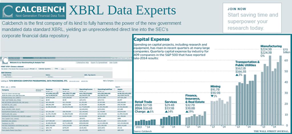 XBRL(eXtensible Business