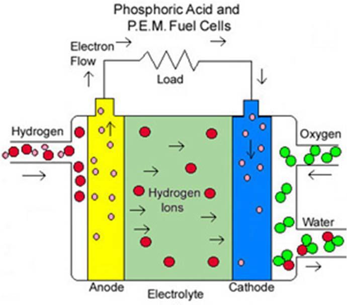 Types of Fuel Cell 고분자연료전지 (PEMFC) -주로자동차용연료전지 -수소이온이 1백 ~2백 m 두께의고분자전해질막