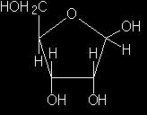[10] D-ribose 의곧은사슬분자형태는아래와같다. ( 총 10 점 ) O O O O 2 O D-ribose 의고리형 (ring form) 을그려라. (5 점 ) 또한몇개의키랄 (chiral) 탄소가존재하는지기술하라. (5 점 ) ( 해답 ) The ring form of D-ribose has four asymmetric carbon atom.