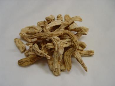 산약 ( 山藥 )= 薯蕷 Dioscorea Rhizome 이약은마 Dioscorea batatas