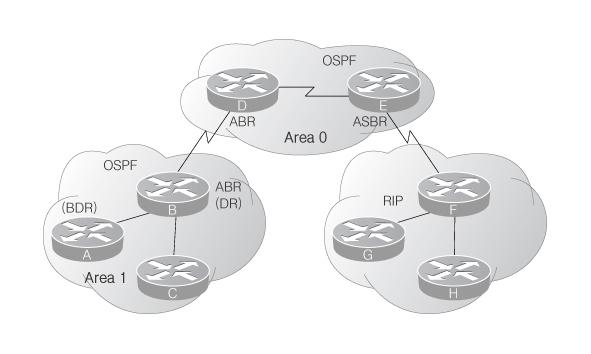 시스코라우터의 OSPF 설정과동작 OSPF 특징 (1) [ 그림 ] OSPF 네트워크구조 Area ASBR (Autonomous System Boundary Router)