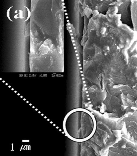 584 전성제 김웅 이재준 구상만 Figure 7. The effect of ion-shower treatments on PMMA substrates: SEM images of (a) untreated and (b) plasma treated PMMA substrates. Figure 8.