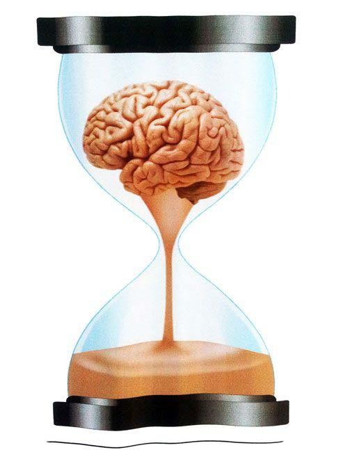 Time lost is brain