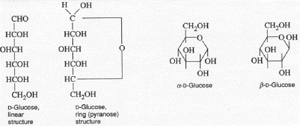 지질 (lipid) 지방산 (fatty acid) 탄수화물의기능 : - 에너지원 (ex, glucose) - 구조적성분 (ex, cellulose, kitin) - 다른생체물질의전구물질 ( 아미노산, 지질, 퓨린, 피리미딘등 ) - 당접합체 (ex, 당단백질, 당지질 ) - 핵산의구성성분 (ex, ribose RNA,