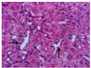 Nor : Normal C57BL/6J mice group Con : Induced by high fat diet C57BL/6J hyperlipidemia mice group SM : Induced by high fat diet C57BL/6J hyperlipidemia mice group treated with SM extract * : P<0.