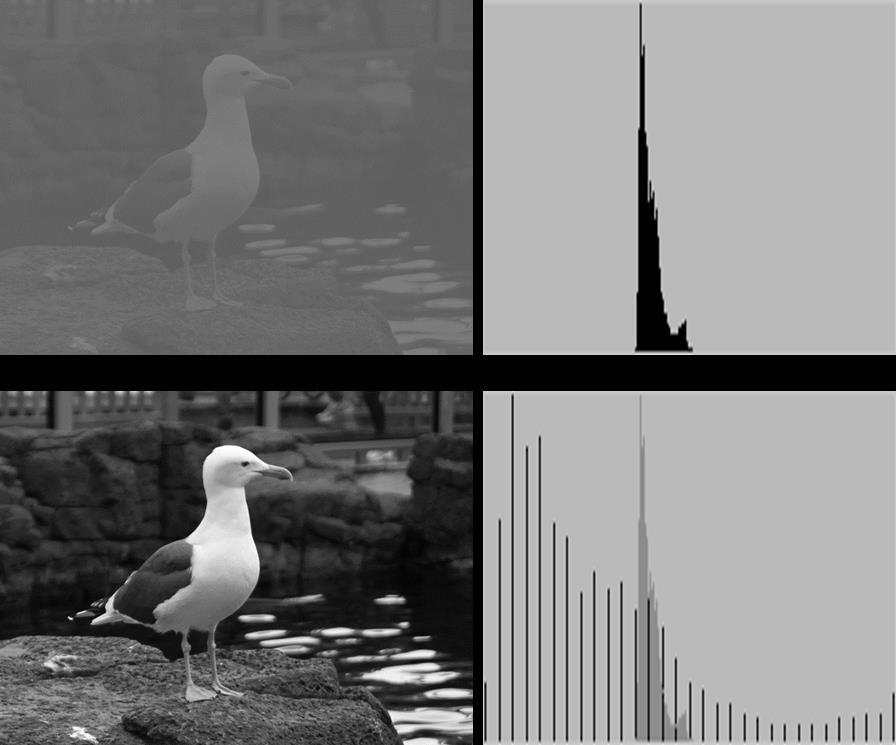 Low-contrast image Histogram of low-contrast image Image
