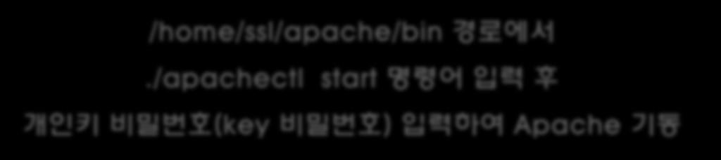 Apache 기동