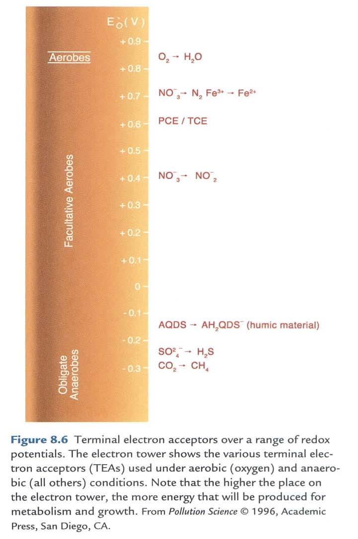Environmental effects on biodegradation 1) Terminal electron acceptor