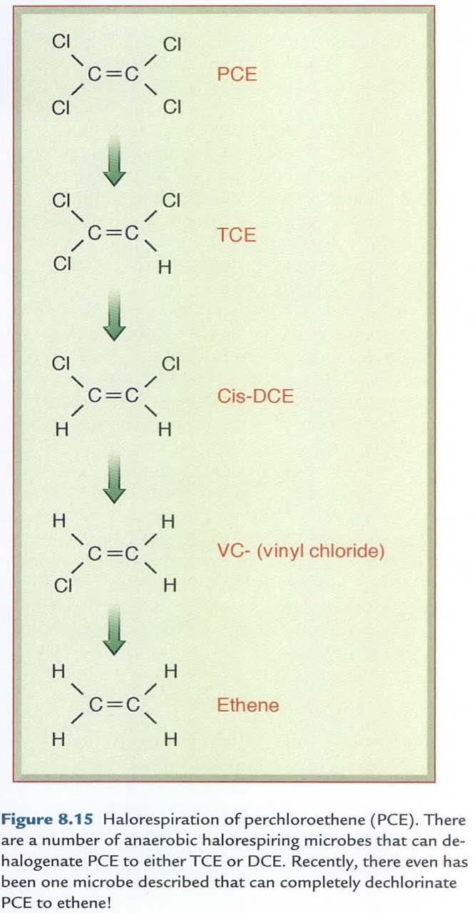 Anaerobic biodegradation - anaerobic respiration; use TEA (i.e., Fe/Mn, NO 3-, SO 4 2-, CO 2 ) other